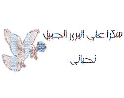 حل مشكلة الكتابة [ Input system error. The system is being restarted ]  Images?q=tbn:ANd9GcQ8FENYGXUDdCLTb0OQ42v4cmnAhBIHvzeeujcBCt6qigIDomFg