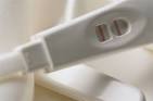Pregnancy