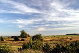 Kreptitzer Heide - Bild \u0026amp; Foto von Heinz Froelian aus Rügen ...