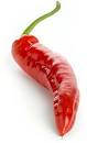 Garden Peas and Fleas: Red Pepper, rocket and Tomato Soup.
