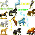 EQUIDEOW Picture #121667044 | Blingee.