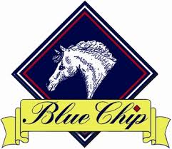 Blue Chip Feed