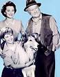 http://www.fiftiesweb.com/tv/lassie-2.jpg