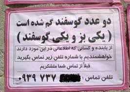عکس با حالا و خنده دار.....(بدوبیا)حالشوببر 1
