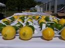 Citrus themed Wedding Decor Manolo for the Brides