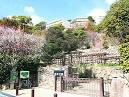 岡本梅林公園・摂津岡本梅まつり - ぶらり兵庫・ぶらり神戸/神戸観光 ...