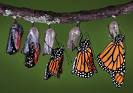 transformation pronunciation