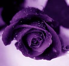images?q=tbn:ANd9GcQA5vsE0NO7_oUY5CyR634iCw9hfCHzKDBbZw1GBmTctJtzspHg