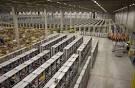 Els magatzems d'Amazon | L'home dibuixat