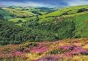 Exmoor, Beast of « Who You Calling a Skeptic?