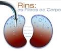 Insuficiência <b>renal</b>