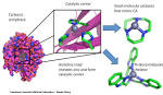 Nano Patents and Innovations: Synthetic Small Molecule Catalysts ...
