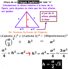 images?q=tbn:ANd9GcQBAeYm9bmXpzxXLBWa2oFlvi-FPoUoVVduNOh6QIMoMslXMZrT
