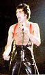 Freddie Mercury - Wikipedia, the free encyclopedia