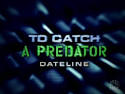 It seems To Catch A Predator