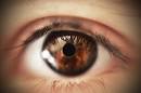 Fortnightly Challenge July 23-Augurst 5 : Eyes - Mac Rumors Forums