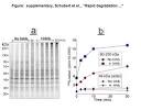 Supplementary information   Rapid degradation of a large fraction
