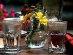 Flowers and ice water royalty - via Daymix
