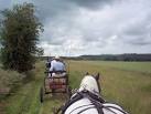 The drivers returning to Totteridge Farm. Ore Hill is in the distance. - via Daymix