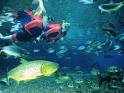 BONITO- Grasp the best experience of this phenomenal little town ...