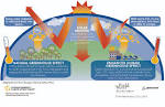 FAQs Chicago Community Climate Action Toolkit