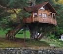 Tree House Designs - Ideas for Treehouse for Kids - Popular Mechanics