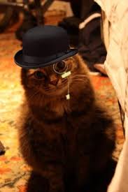 images?q=tbn:ANd9GcQDAcPZ-xoPYWTMPXpJrP0e5C3-Dtf7fKKUSP3O5b0vlF5ZNIyCpA