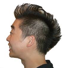 Mohawks: Yes or no? Images?q=tbn:ANd9GcQDFy0oiXLb2f71KHZ2Ozk1cQKQj6jYYm2PDyj5YLlfHu1jjgLZ