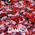 Download] Oh Canada 6 | The Line Of Best Fit