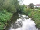 TQ1473 : River Crane From - via Daymix