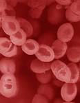 The New Microbial World Home Page