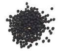 Cook's Thesaurus: Indian Spices