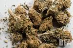 DEA / Marijuana