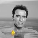 Eddie Adams
