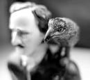 He was born Edgar Poe on