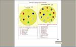 www.trafic-amenage.com/forum :: Voir le sujet - Retour d ...