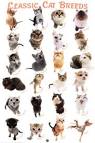 2011 March « FURRYTAIL World's Animals Site