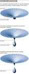 SoftwarePhysics: Is the Universe Fine-Tuned for Self-Replicating ...