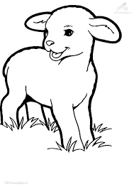 Image result for sheep coloring page