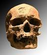 Cro-Magnon - Wikipedia, the free encyclopedia