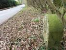 The minor road passes through Belmore Copse and near Sicily Cottages is a - via Daymix