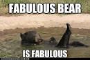 Best of the WeekLolcats - Funny Pictures of Cats - I Can Has ...