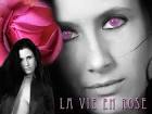 La vie en rose > Jose Antonio Lizana San Roman - 1625168649253860