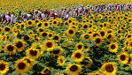 2009 Tour de France - The Big Picture - Boston.