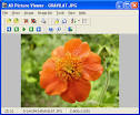 Screenshot, Review, Downloads of Shareware AD Picture Viewer