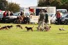 SK8260 : Per Ardua Beagles - via Daymix