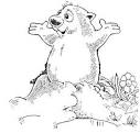 Groundhog Day Quotes