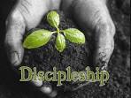Discipleship nlfplymouth