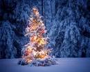 Fantastic collection of Christmas wallpapers   Crazy Frankenstein