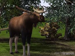 Zoo Tycoon 2 - gra pełna wrażeń...  Images?q=tbn:ANd9GcQG3kmzsBHjKi0xS3aWsaIErunu0uXmtZDjAiZiU-mvPIiDYYvmgQ